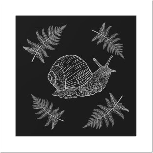 Snail with ferns (white) Posters and Art